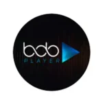 AnyConv.com__p2.webp