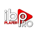 AnyConv.com__p8.webp